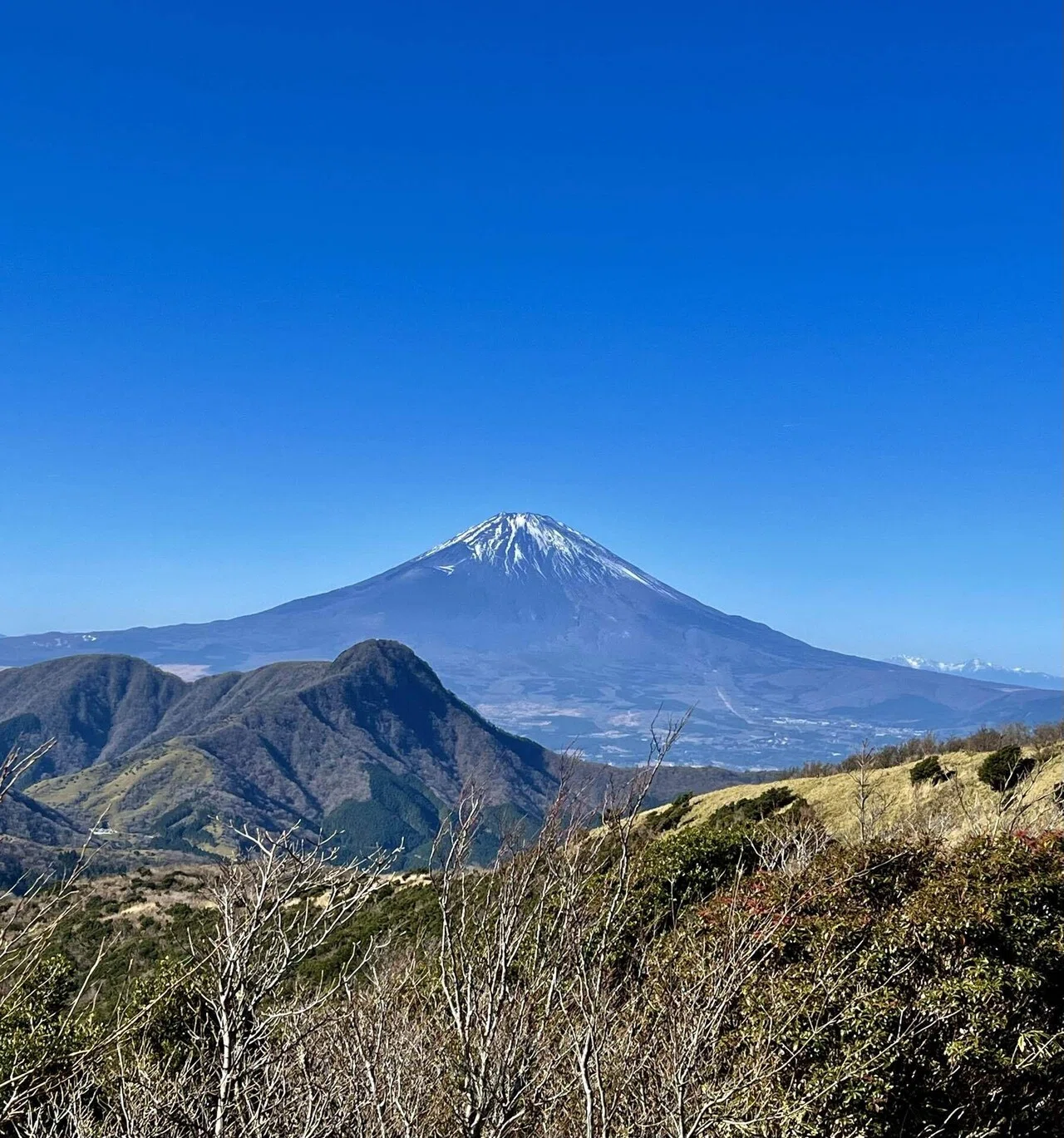 富士山がある風景100選」〜箱根明神ヶ岳?｜serico