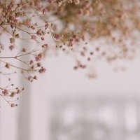 自分を諦めたくない 彩 朝カフェ女子会 Note