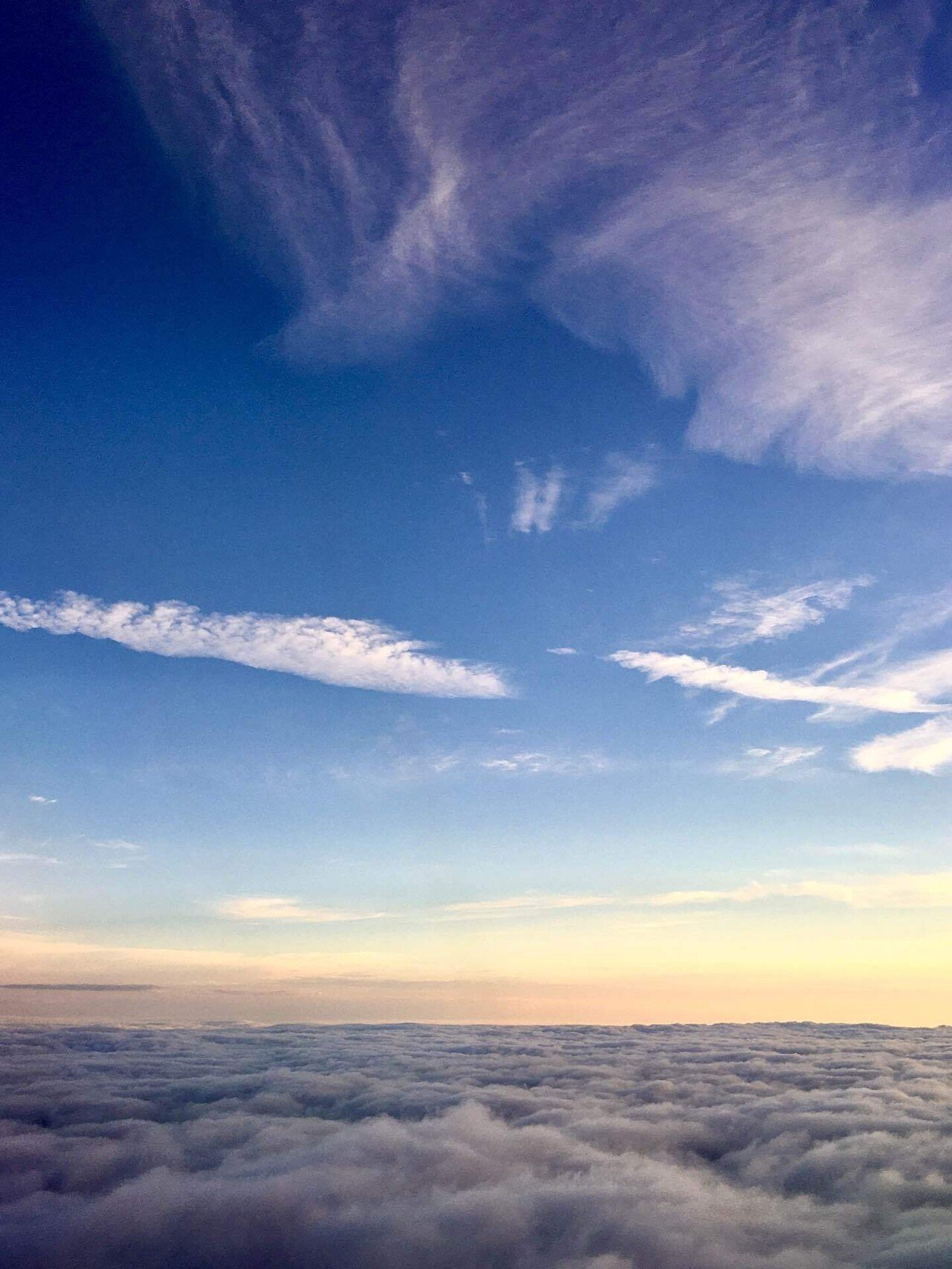 空の上でしか見られない景色｜Mai🍁いとをかしな日常