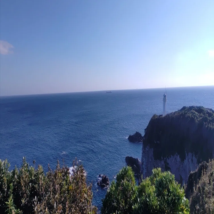 太平洋🌊 海は広いな大きいな｜いふ！