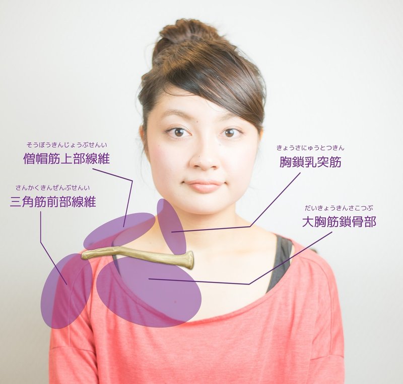吉田一也の鎖骨ほぐし 鎖骨つまみ 細かい作業で起こる肩こり解消テクニック 吉田 一也 理学療法士 医学博士 Note 吉田一也の鎖骨ほぐし 鎖骨つまみ 細かい作業で起こる肩こり解消テクニック 吉田 一也 理学療法士 医学博士 Note