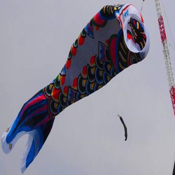 014. 100mのジャンボ鯉のぼりと構造家川口衛先生のこと（2023年5月5日