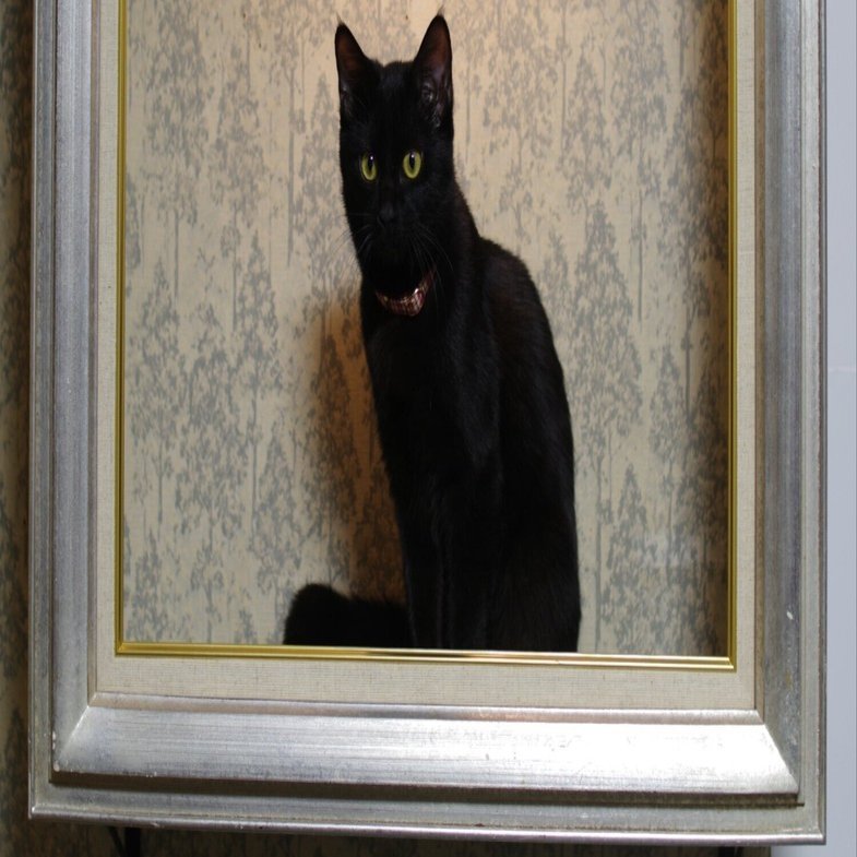 額縁の中に座ってる猫ちゃんが本物の絵画みたい！飼い主さんがDIYで