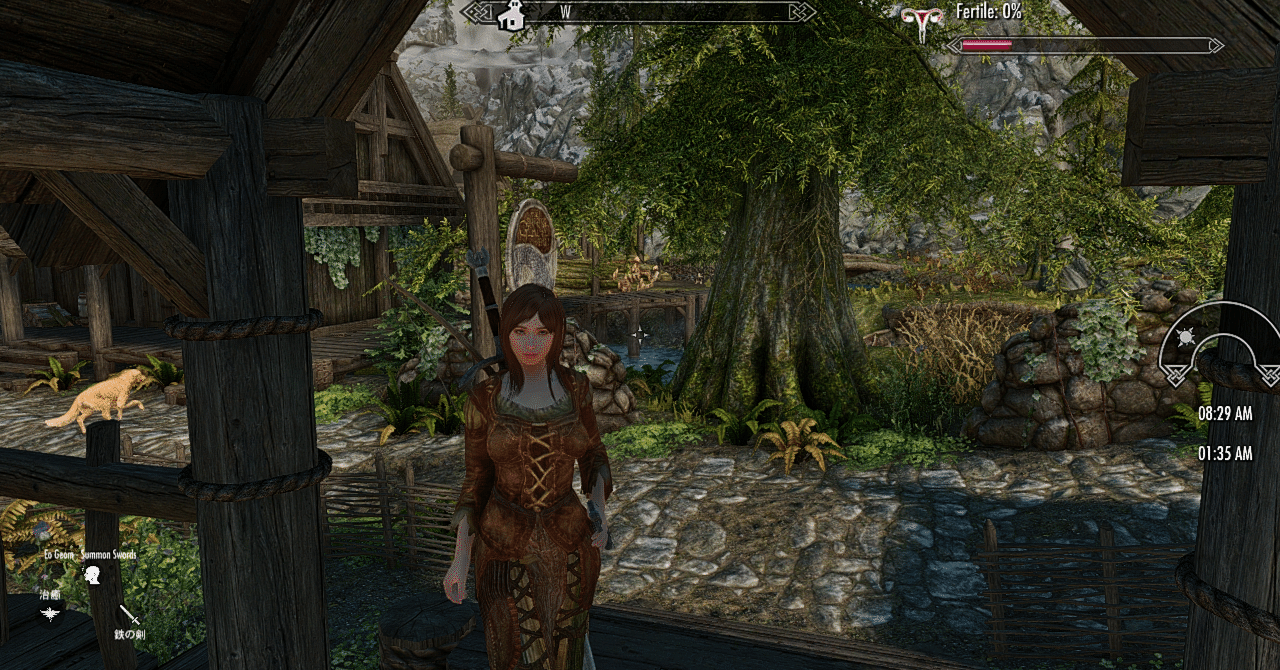 Skyrimレコード 500枚限定カラー （アンドロイドワン S8 高画質