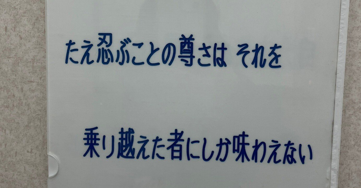 便所の落書きを読むのが好きだった｜terui akane