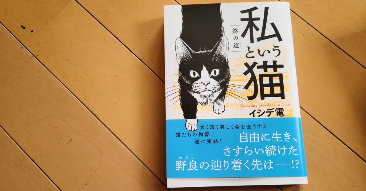 絵の迫力感ーー『私という猫 終の道』を読んで｜森マリアンヌ
