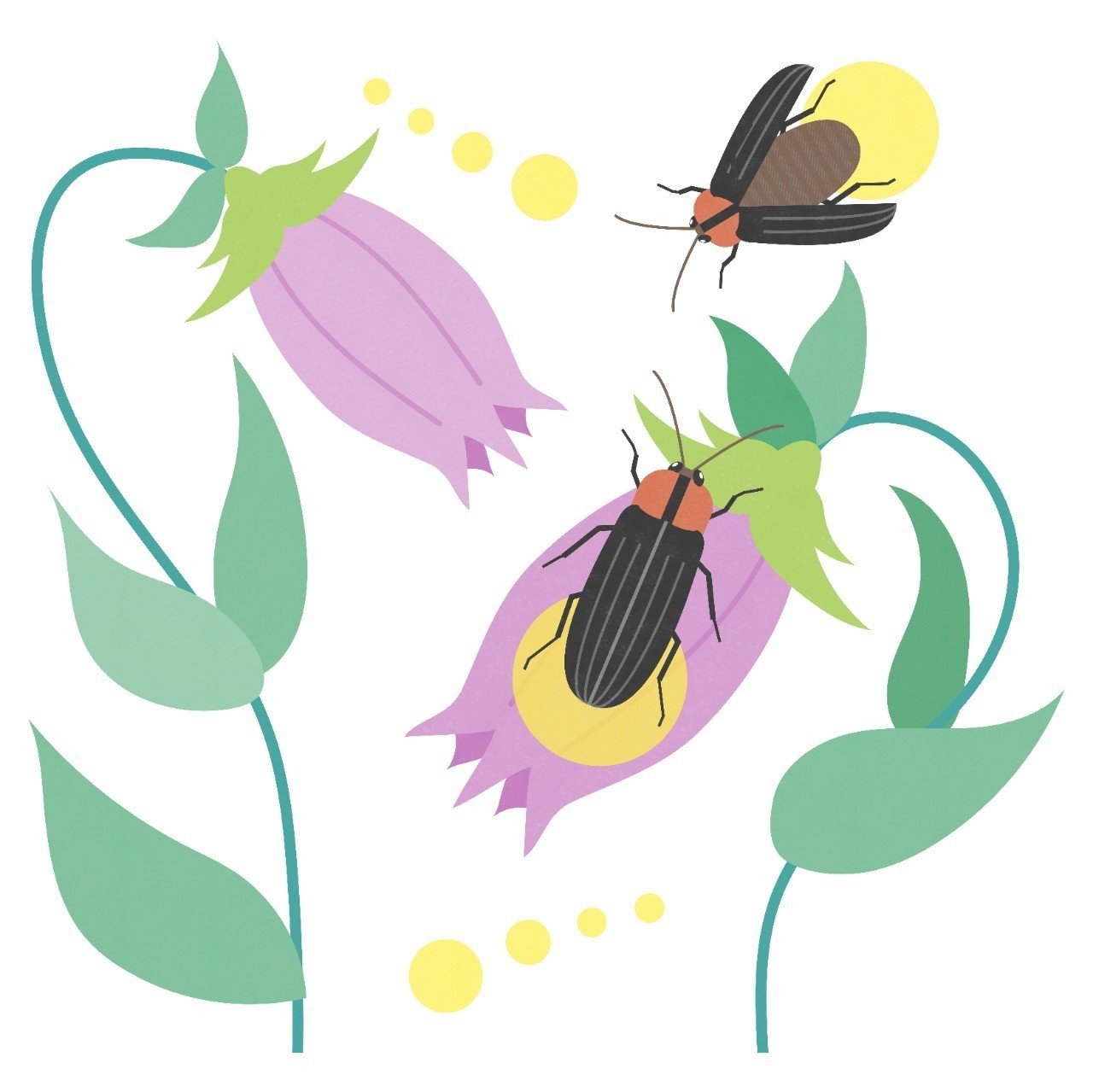 ホタルについて ユウイチ Note