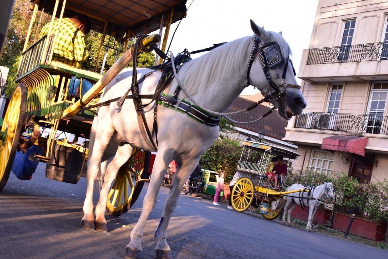 フィリピン馬車｜TOMO