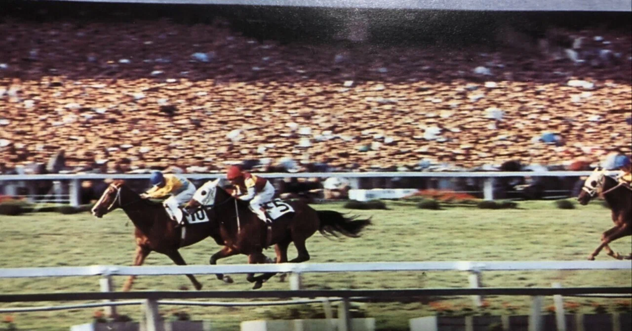 1970】牡馬クラシック世代の名馬たち｜ピッカリリ