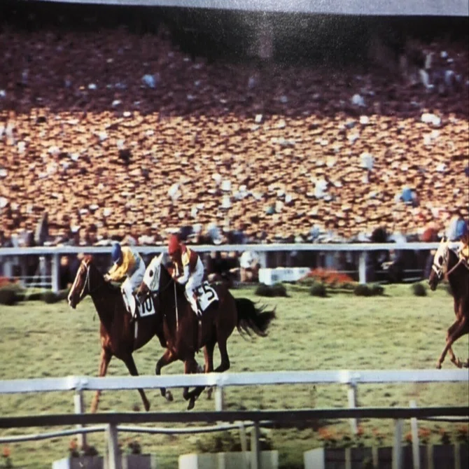 1970】牡馬クラシック世代の名馬たち｜ピッカリリ