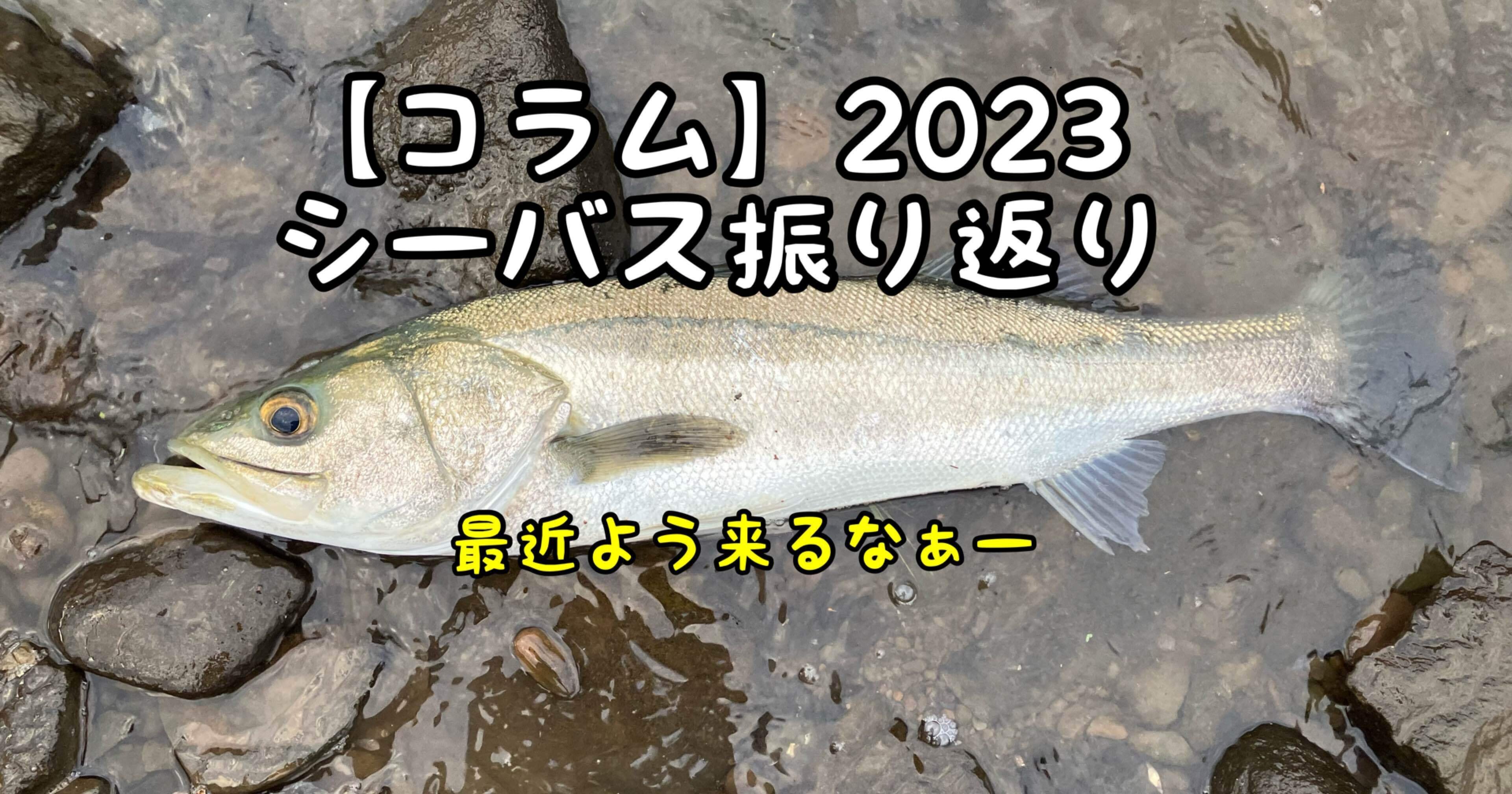 コラム】2023シーバス振り返り（総集編）｜ぐっちあっきー