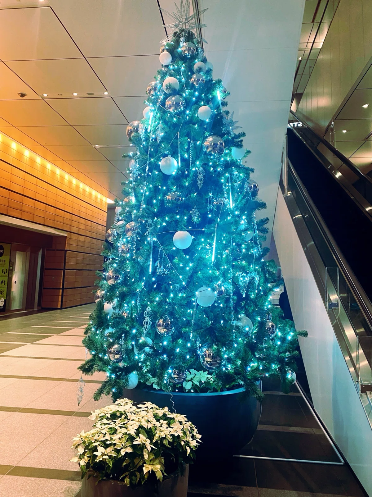 2023クリスマスその12〜大手町｜ちょっちょ