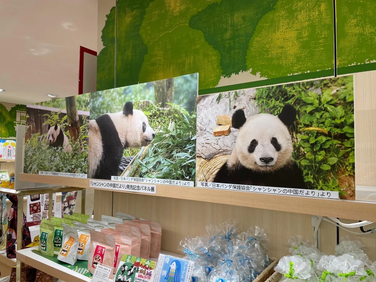 写真集『シャンシャンの中国だより』について｜上野案内所