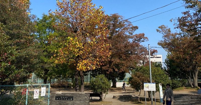 【渋谷区】大山公園