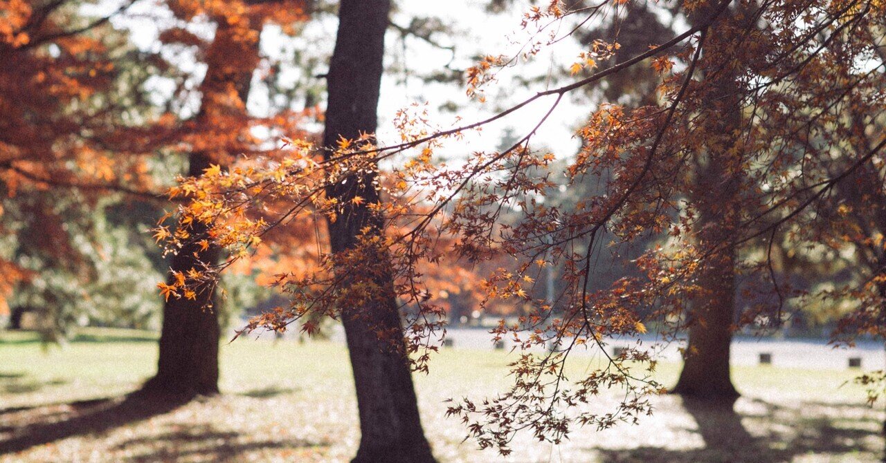 好きなレンズの話/Voigtlander NOKTON Classic 40mm f1.4 SC VM|gig 好きなレンズの話/Voigtlander NOKTON Classic 40mm f1.4 SC VM|gig