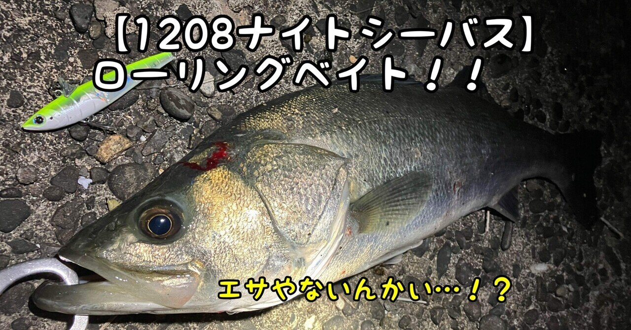 コラム】2023シーバス振り返り（総集編）｜ぐっちあっきー