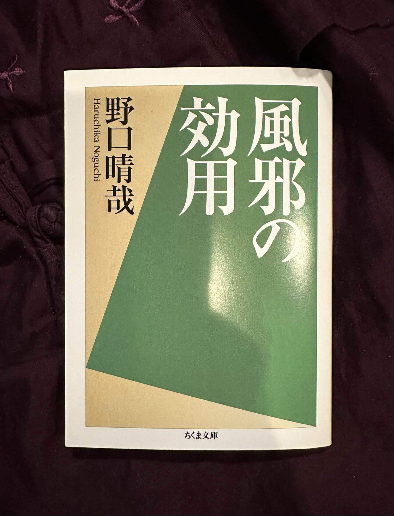 お仕事の合間に今日は気になっていたこの本が届いたので1時間読書