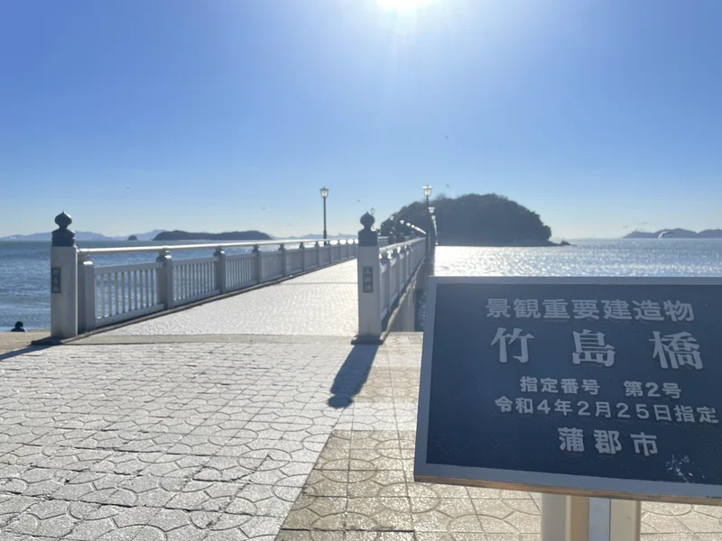 蒲郡市の竹島｜ガジュマル