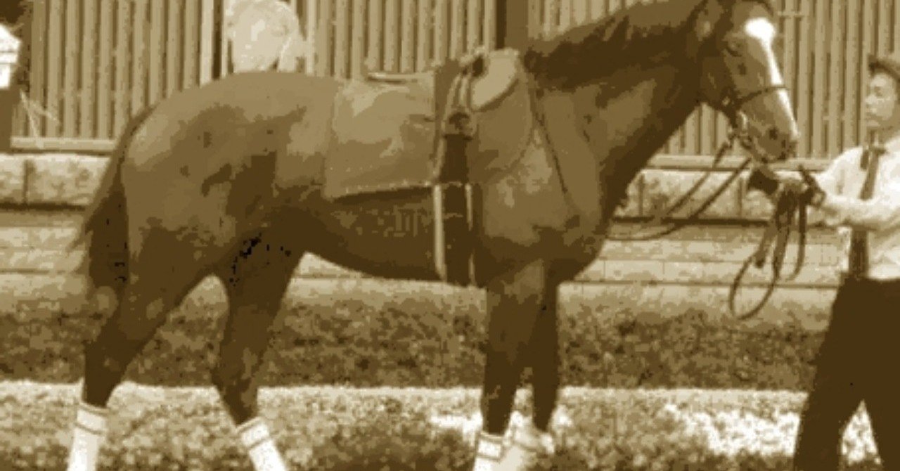 硫黄島異聞 なぜ彼は愛馬から落ちたのか あるいはバロン西とウラヌス号 アスコツト号の話 神城蒼馬 Note