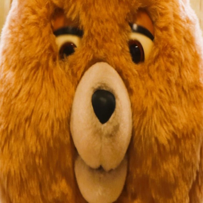 動け！テディ・ラクスピン｜宮﨑まきこ