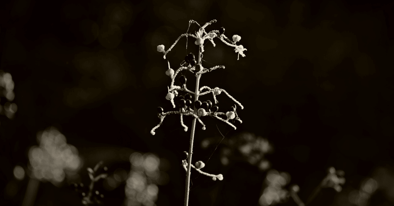 日記を書くことにする|篠原 クロノ