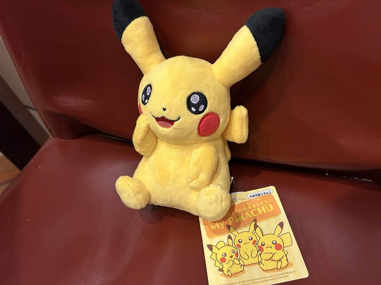 ピカチュウ ぬいぐるみ サンタ帽子 2体セット+ポケモンカード100枚 クリスマスプレゼントにぴったり！ サンタのコスプレをした