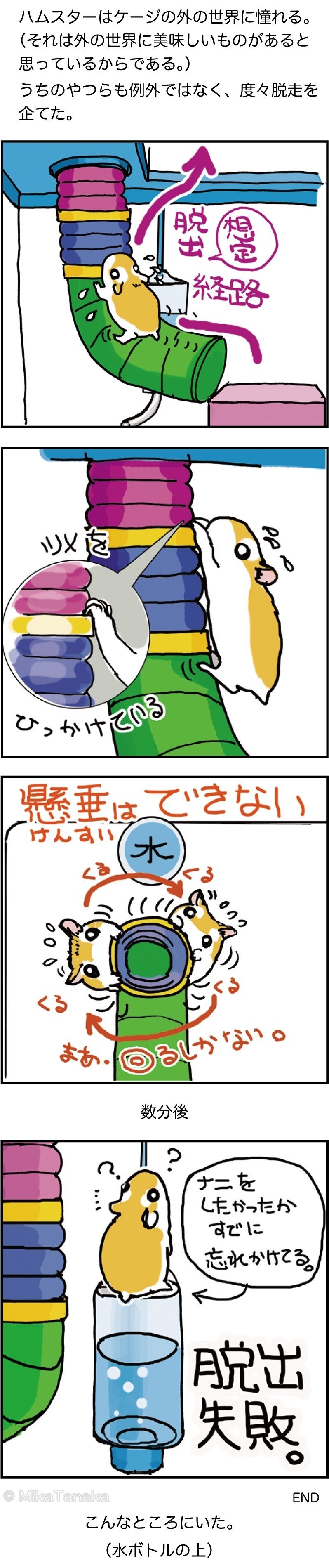 02-12__4koma_脱走01