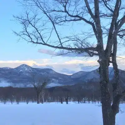 シートン