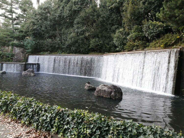 https://note.com/kinokoyama/n/n5394ccd3fda3　小さな滝のある公園を通りかかった。水の音が心地よかったね。