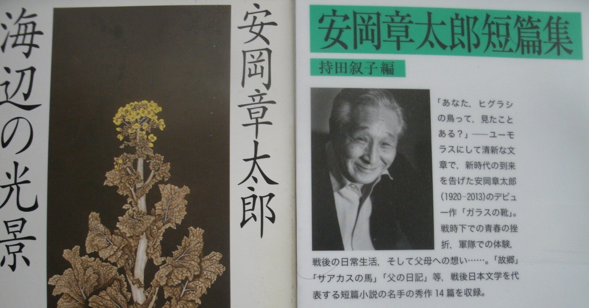 安岡章太郎の「悪い仲間」と「陰気な愉しみ」|些流透 安岡章太郎の「悪い仲間」と「陰気な愉しみ」|些流透