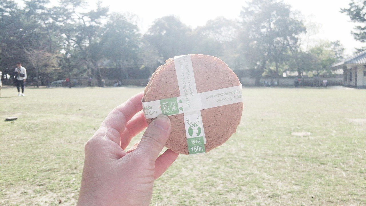 鹿に奪われない！「鹿せんべい」の上手な買い方と距離感｜まいこ