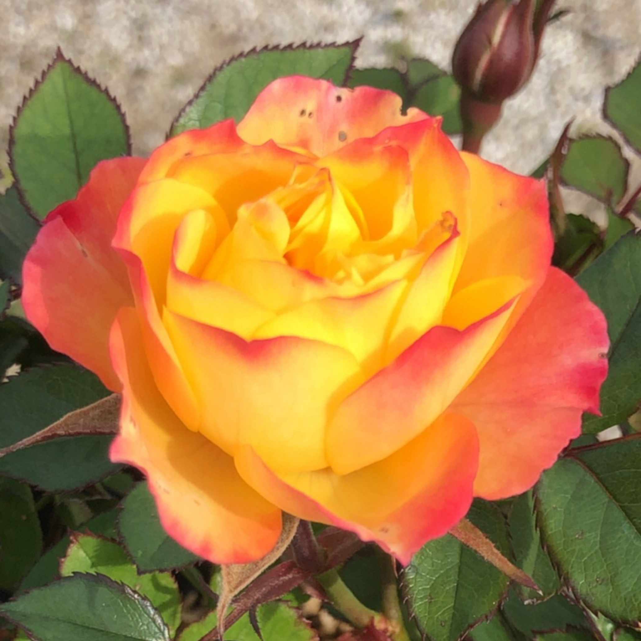 理科準備室の片付けをする｜ＳＫ