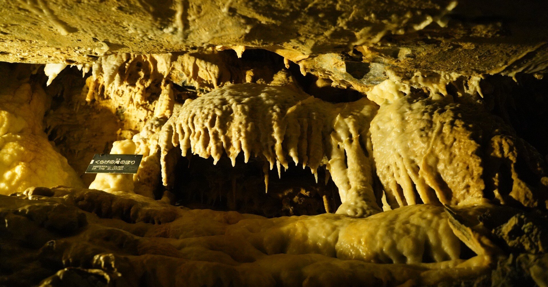 ようこそ地底世界へ【浜松ミクロ散歩「鍾乳洞」前編】｜浜松科学館