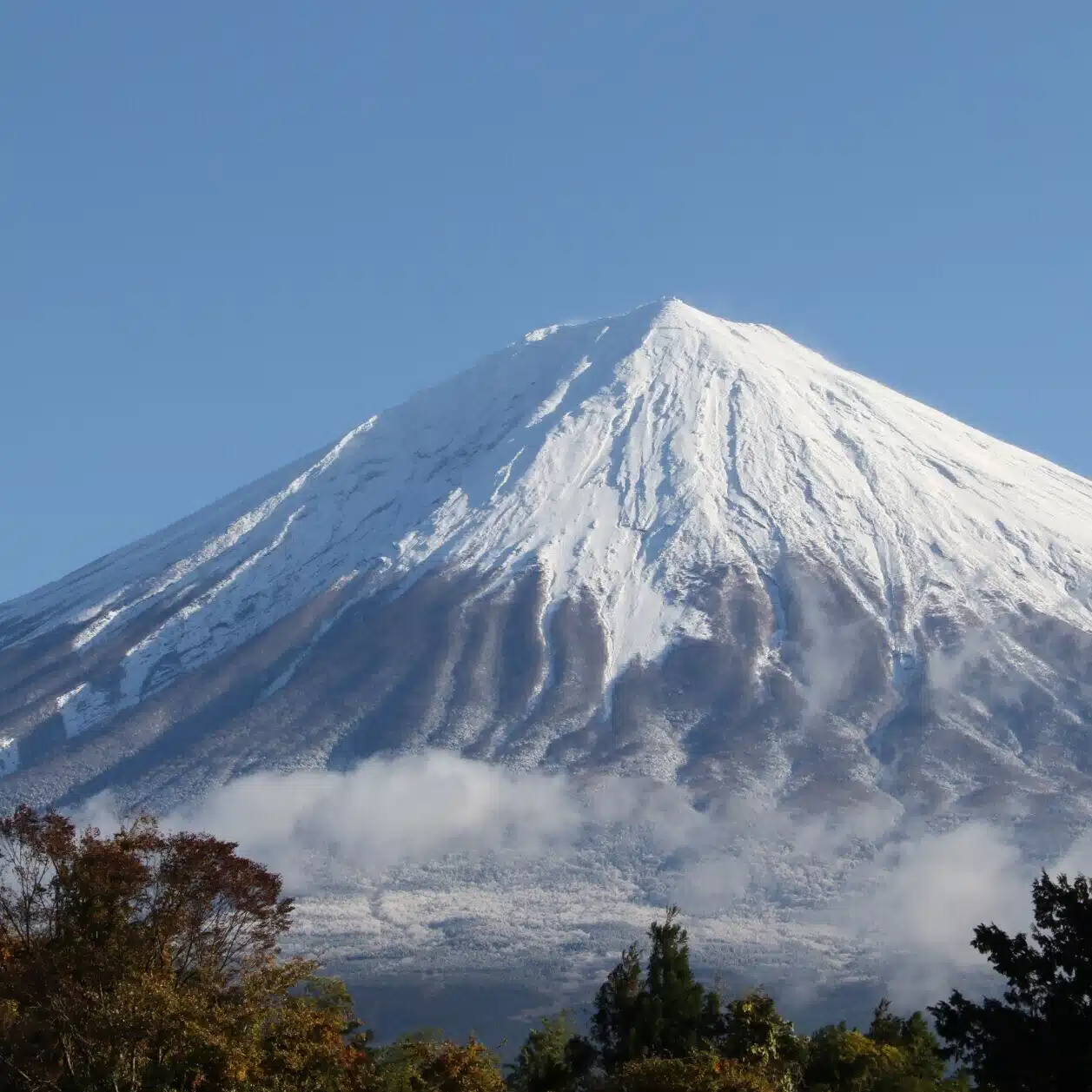 静岡の空鉄