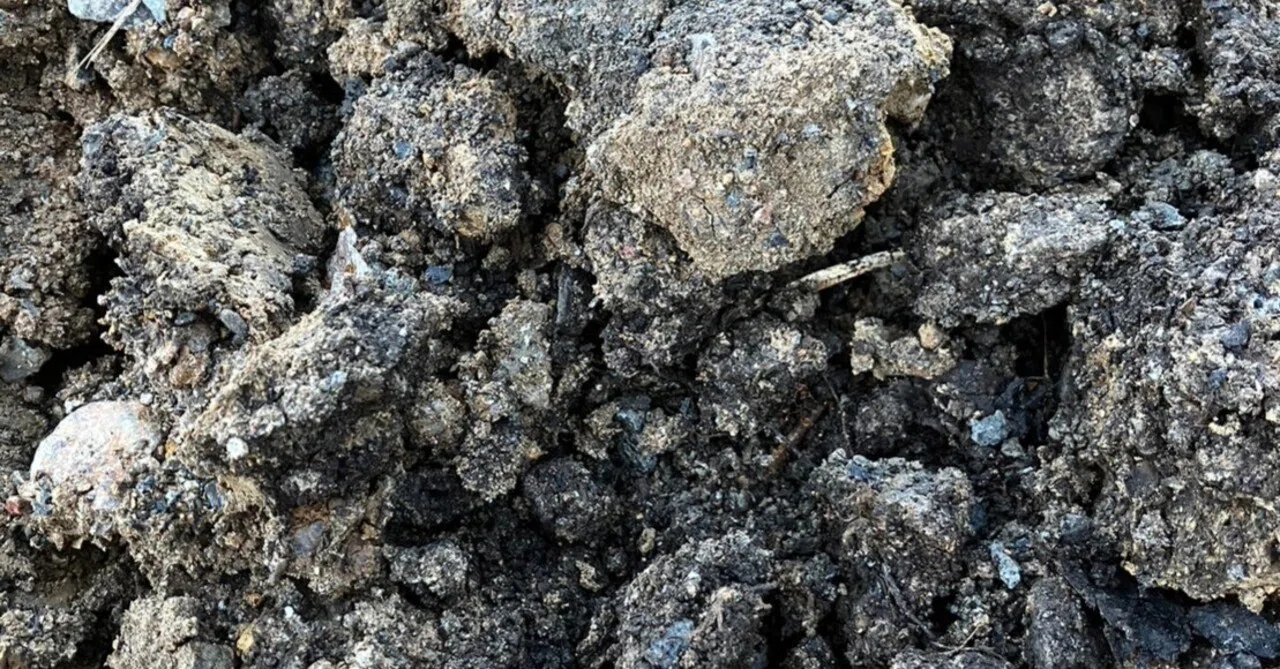 掘り起こした赤土が黒土化？｜さとし大工と自然農