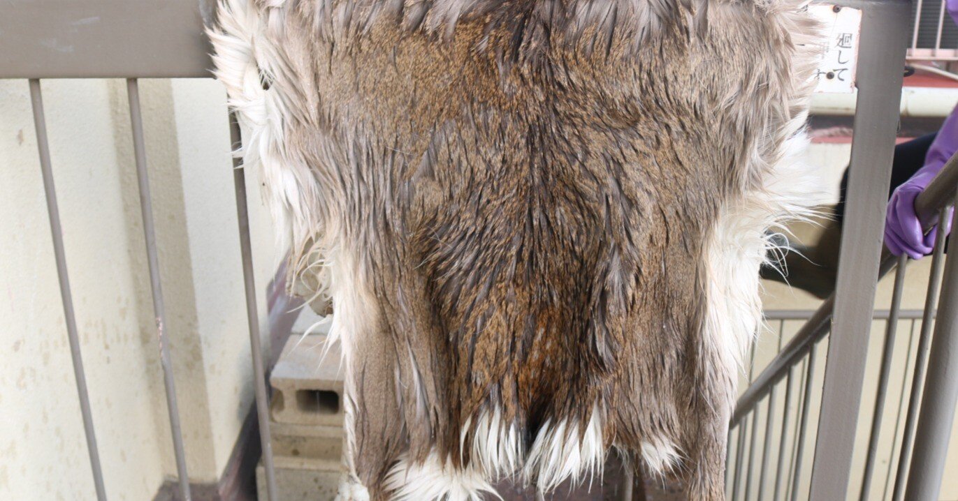 2e30f5c5564a1a8a8c82acea9f56ae