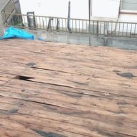 皮膚から綿が出る奇病 綿ふき病 Sekiguti Shinichi Note