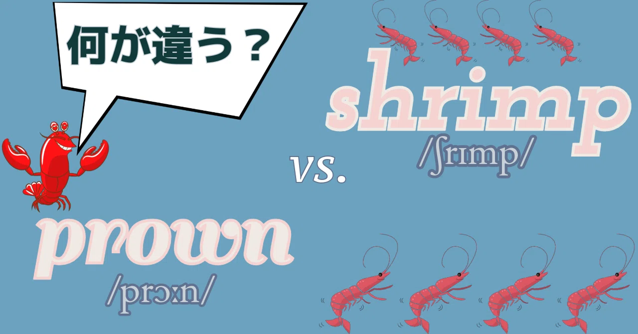 エビ を 英語 で