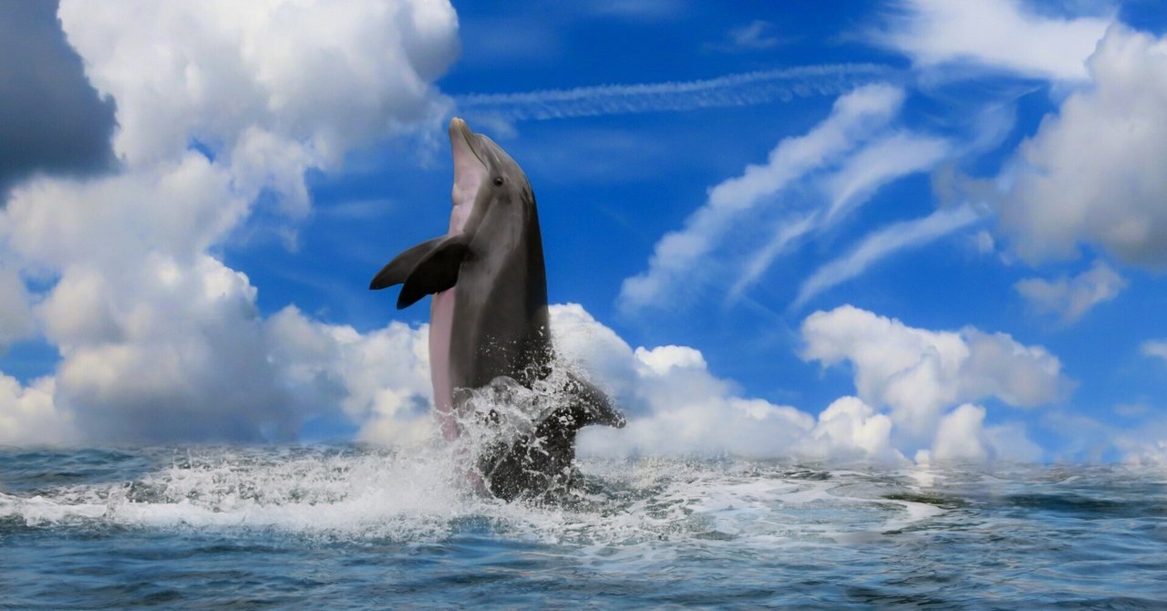 イルカとクジラは一度陸に上がっていた？🌈｜早坂 渚