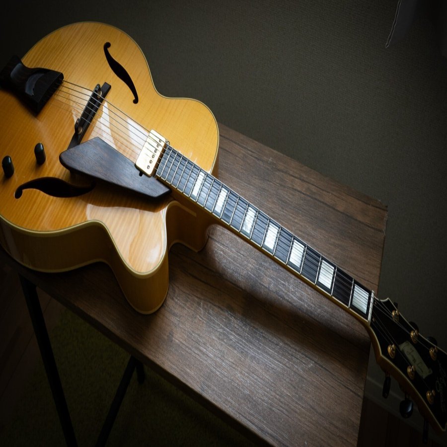 D. A. guisto Jazz Line エレキギター ギターレビュー]D'Aquisto DQ-JZ Jazz Line｜Croquetteギター機材研究