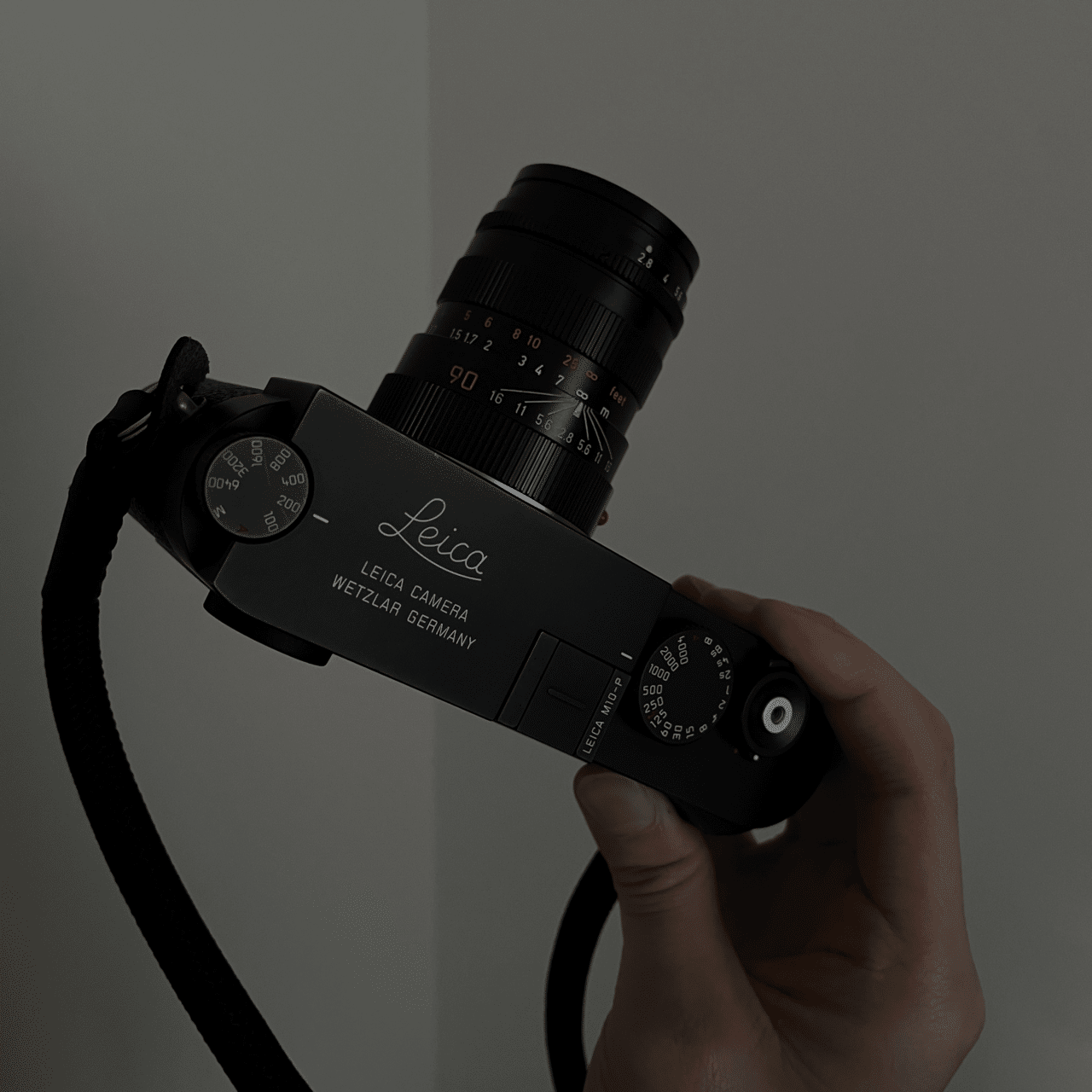 残秋｜M10-P + Tele-Elmarit 90mm｜Shun