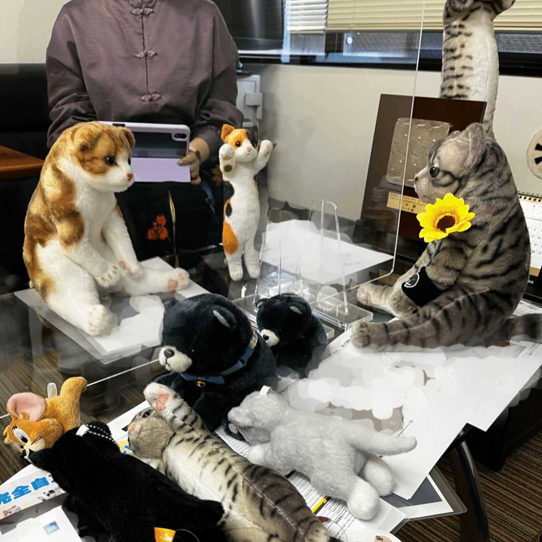 ★新品★ TABBY CAT PAWS だっこにゃん ☆新品☆ TABBY CAT PAWS だっこにゃん だっこにゃん発売するよ