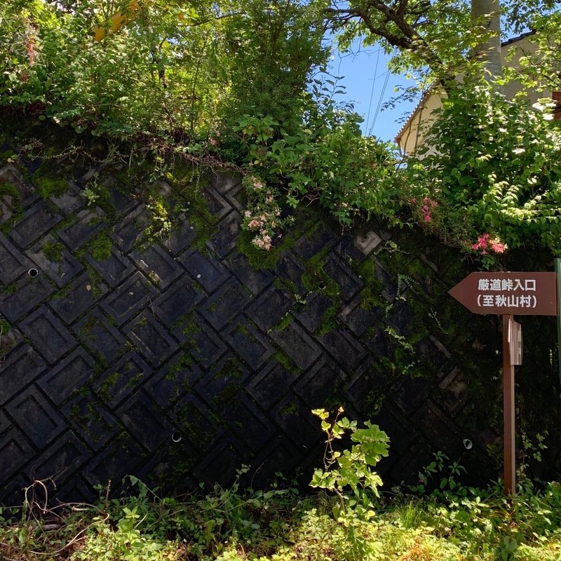 劇坂塾 厳道峠と多摩の坂 Ganseki Sakamichi Note