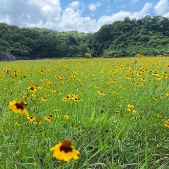 トップに移動