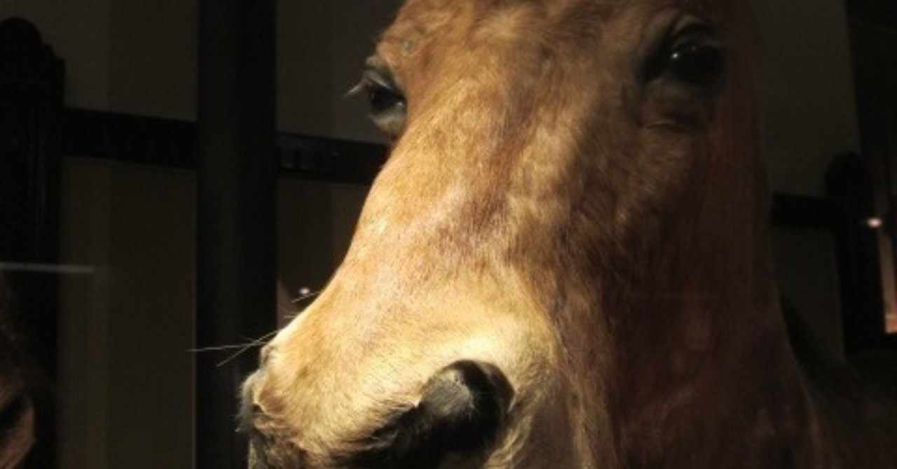 明日やろうは馬鹿野郎 の新着タグ記事一覧 Note つくる つながる とどける