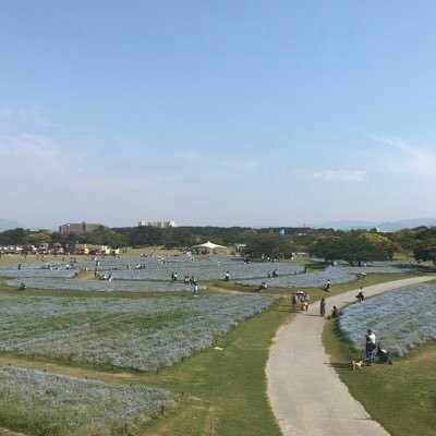 駆け付け毒三杯