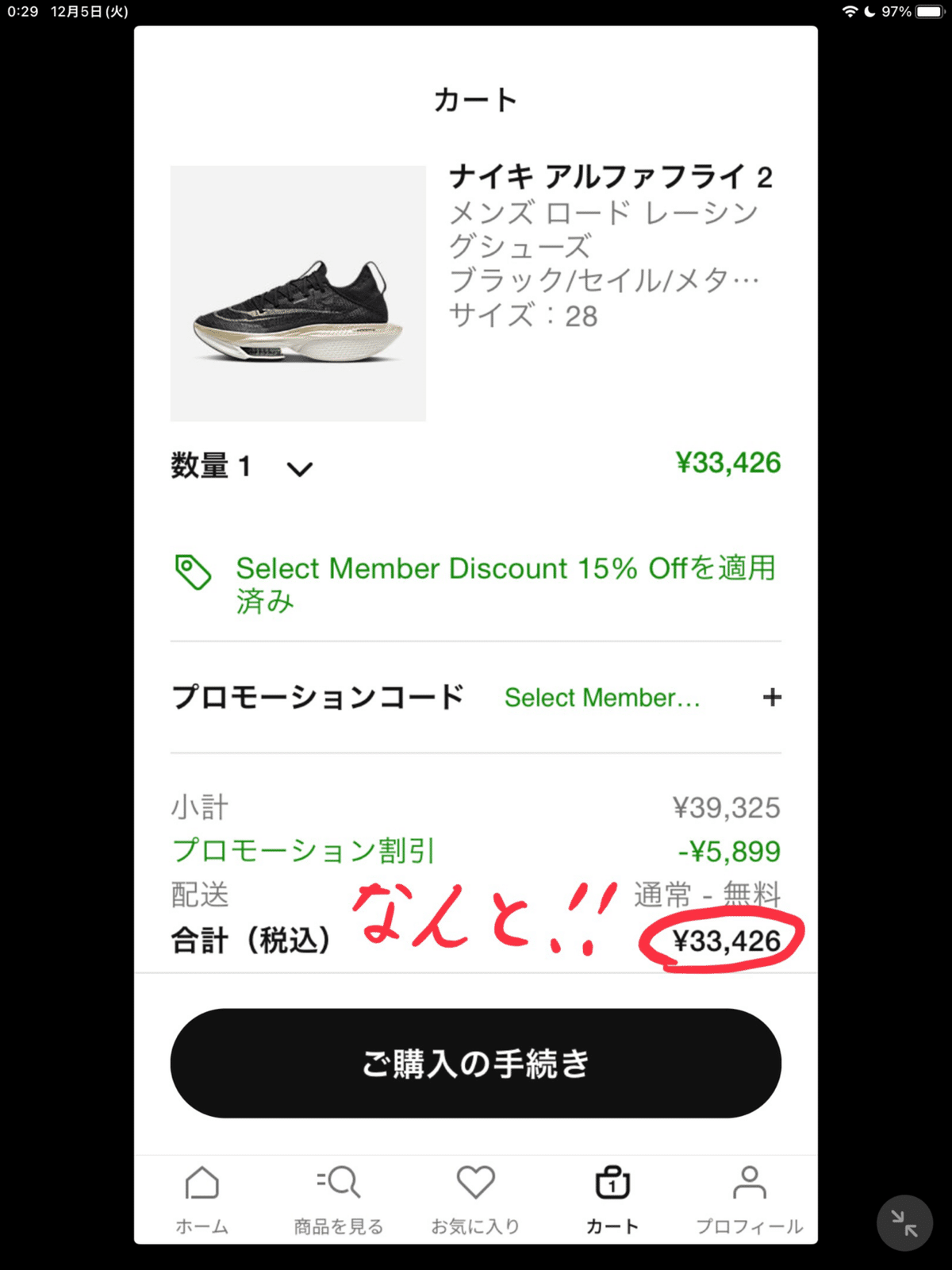 ド素人市民ランナーがアルファフライ2を履いてみて感じたこと