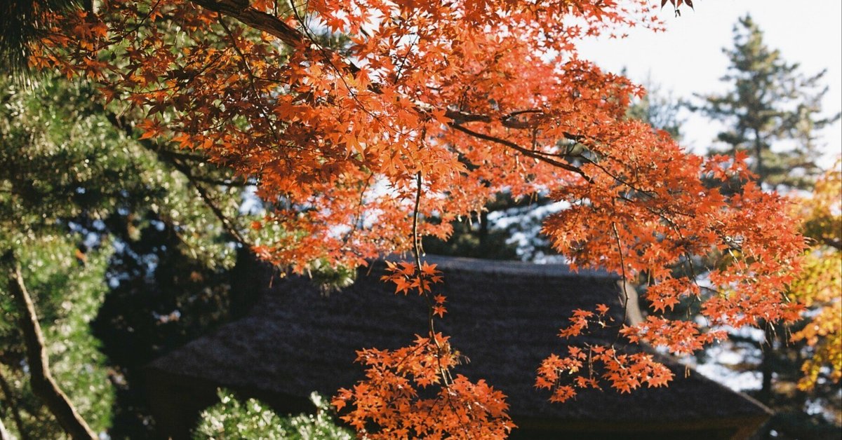 紅葉ページ Kodakフィルムで撮る平林寺の紅葉 #047_2312|(´・ω・`)