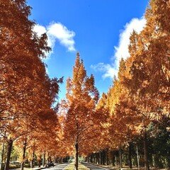 【あなたと歩く日曜日  -Sunday, so beautiful you are.-】オリジナル