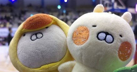 うさまる」の人気タグ記事一覧｜note ――つくる、つながる、と